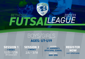 Futsal league 2022 Website